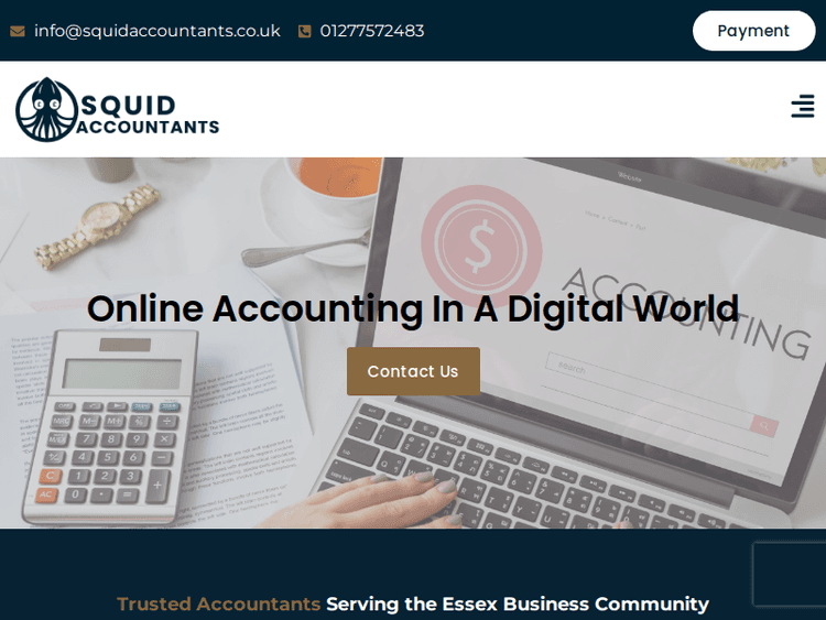 Squidaccountants
