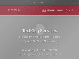 Techguyservices