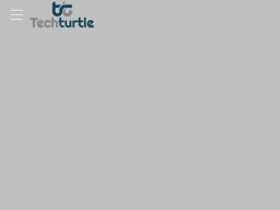 Techturtleconsultant