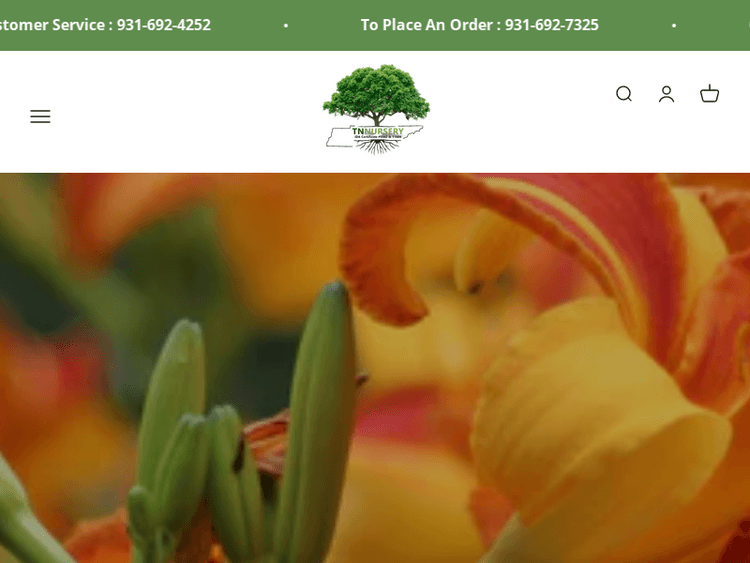 Tennesseewholesalenursery