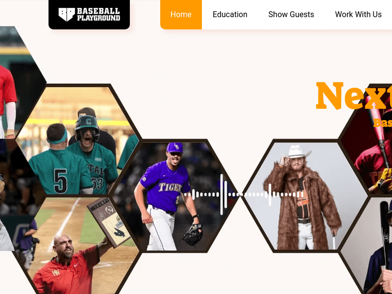 Thebaseballplayground