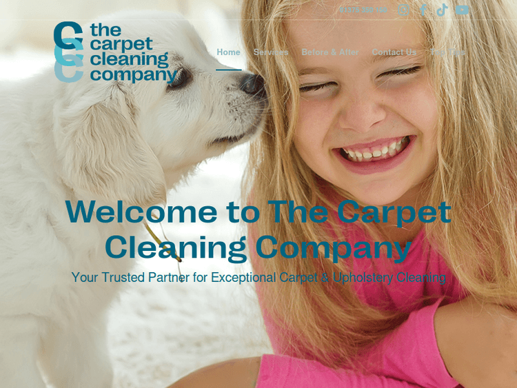 Thecarpetcleaningcompany