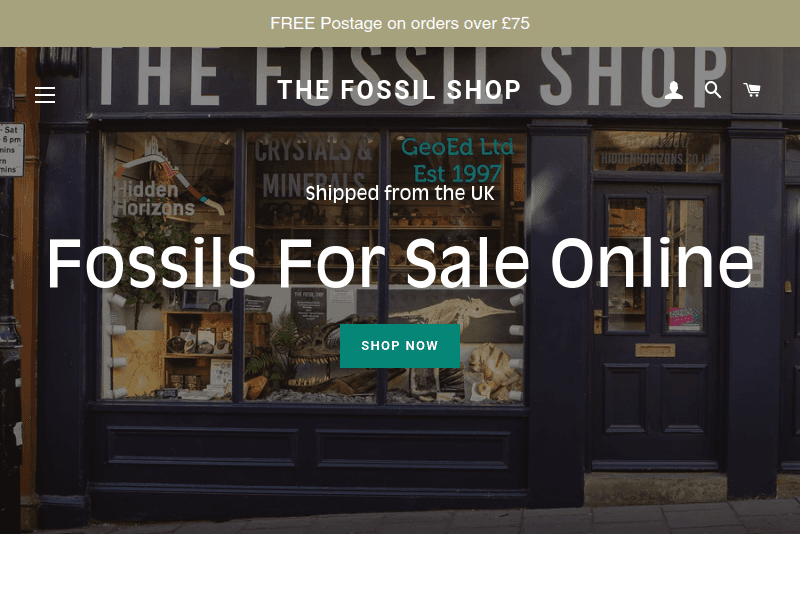 Thefossilshop