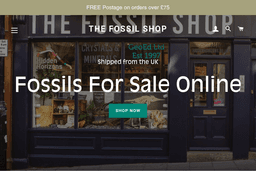 Thefossilshop