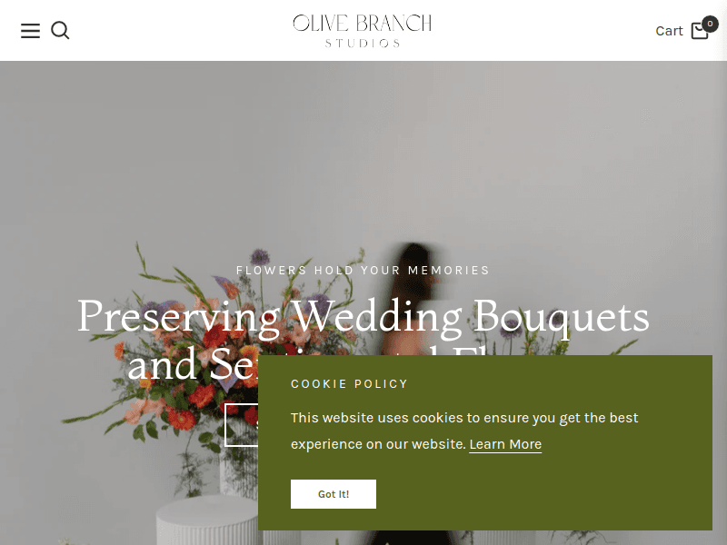 Theolivebranchstudioss