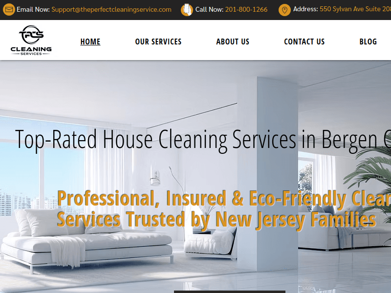 Theperfectcleaningservice