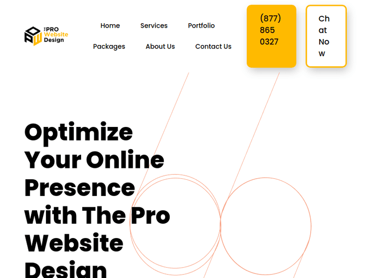 Theprowebsitedesign