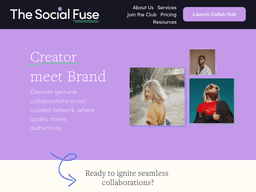 Thesocialfuse