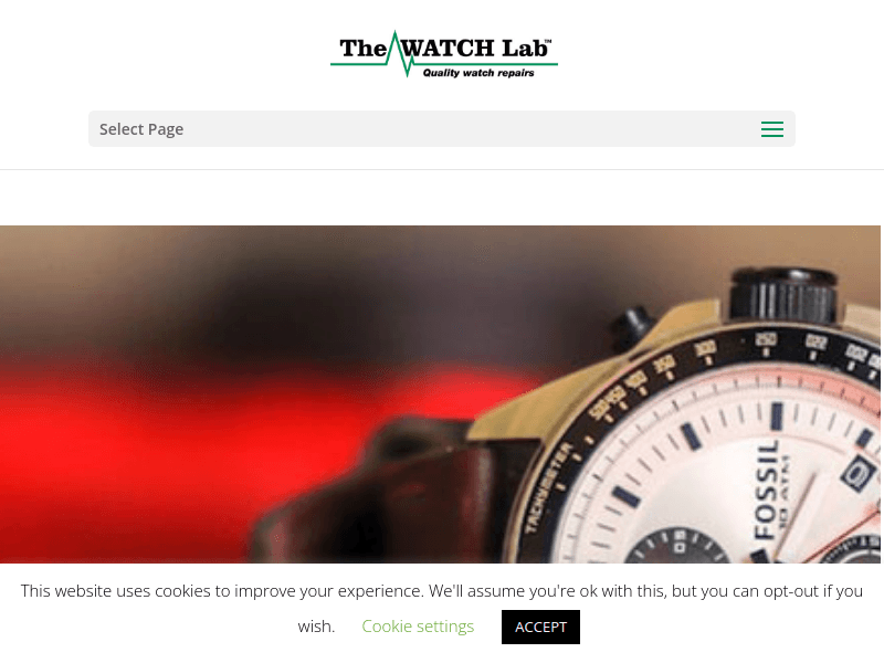 Thewatchlab