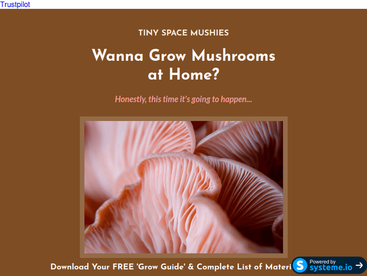 Tinyspacemushies
