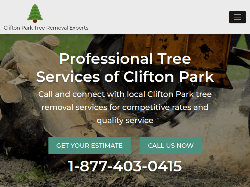 Treeremoval-cliftonpark
