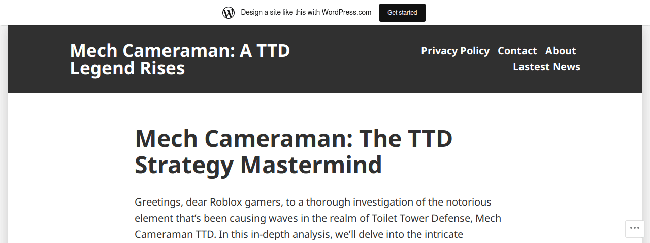 Ttdvaluemechcameraman