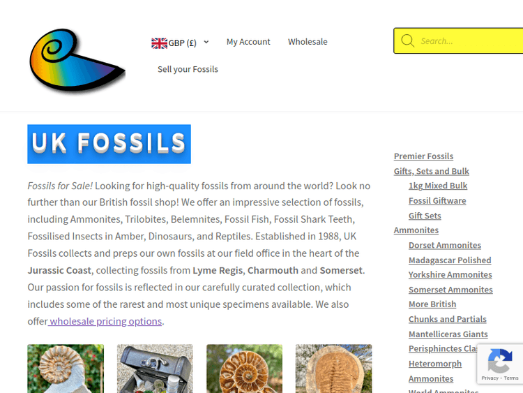 Ukfossils
