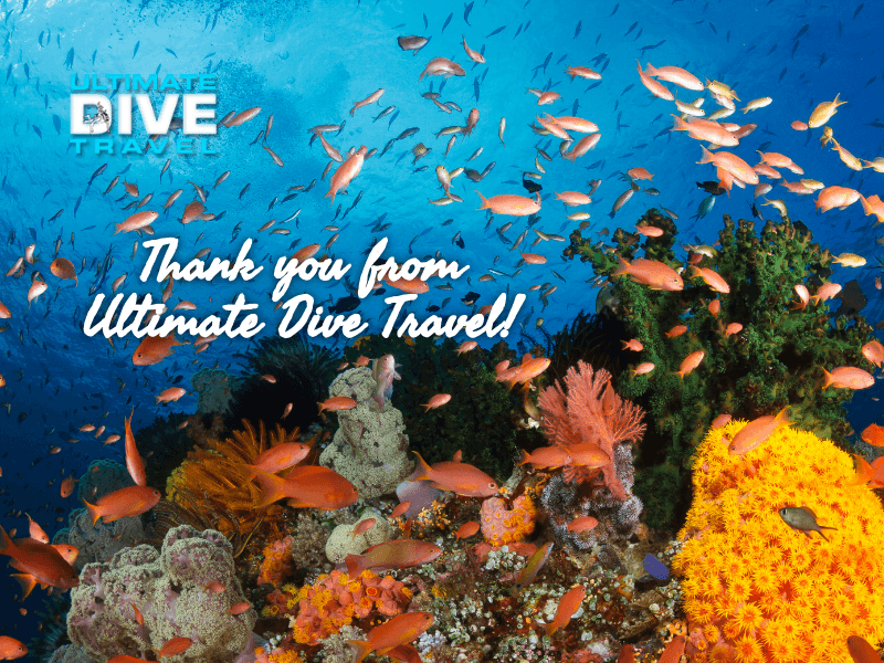 Ultimatedivetravel
