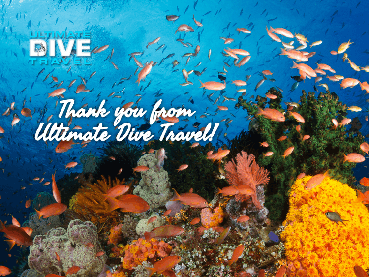 Ultimatedivetravel