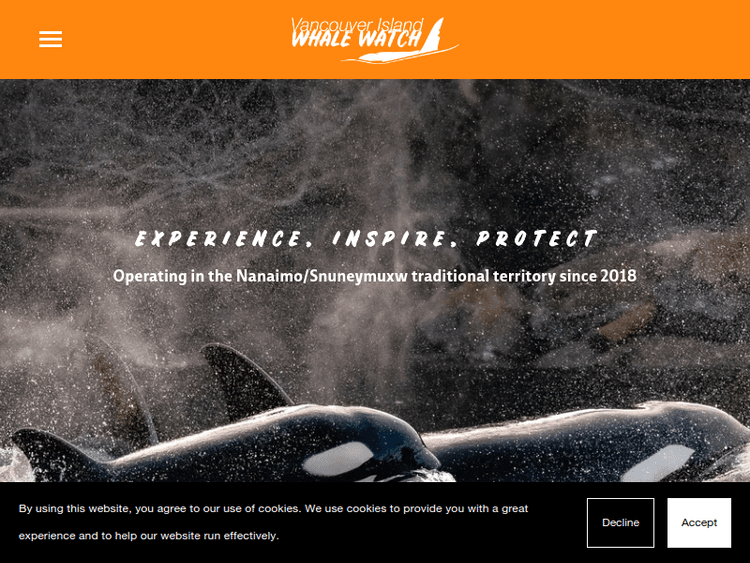 Vancouverislandwhalewatch