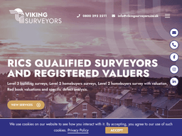 Vikingsurveyors