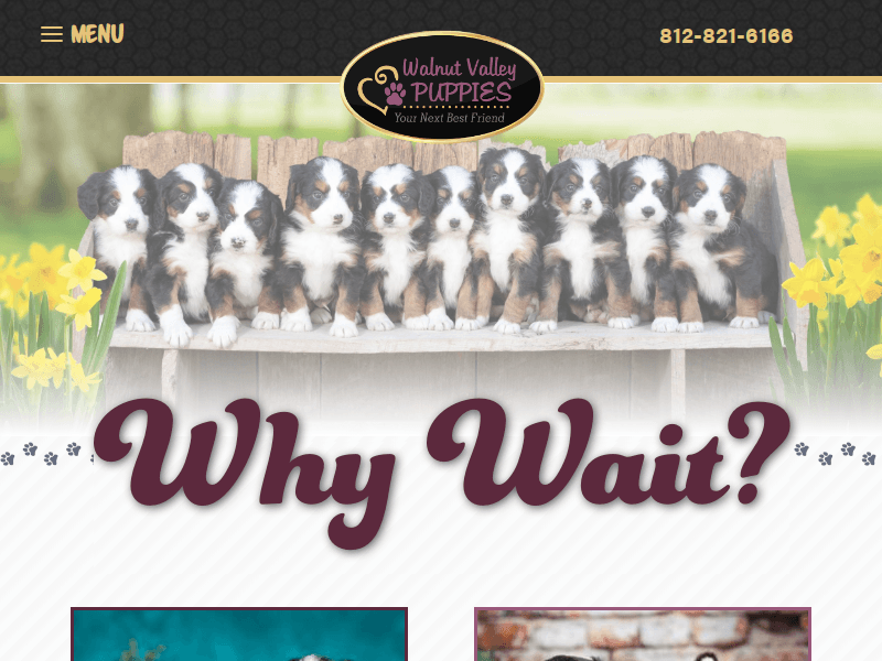 Walnutvalleypuppies