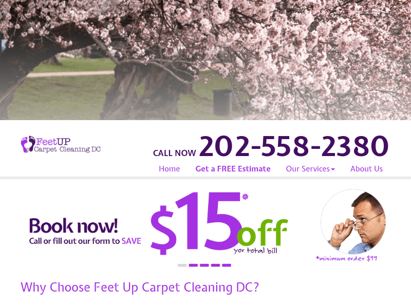Washington-dc-carpet-cleaning