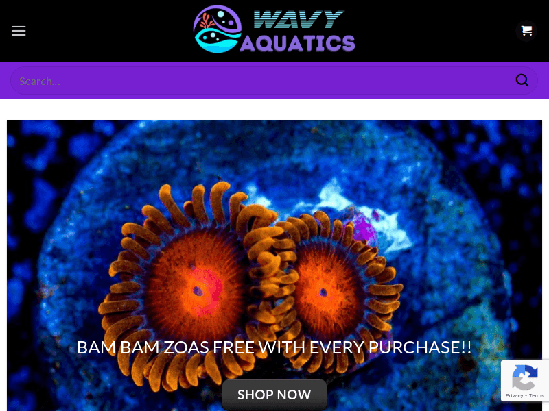 Wavyaquatics