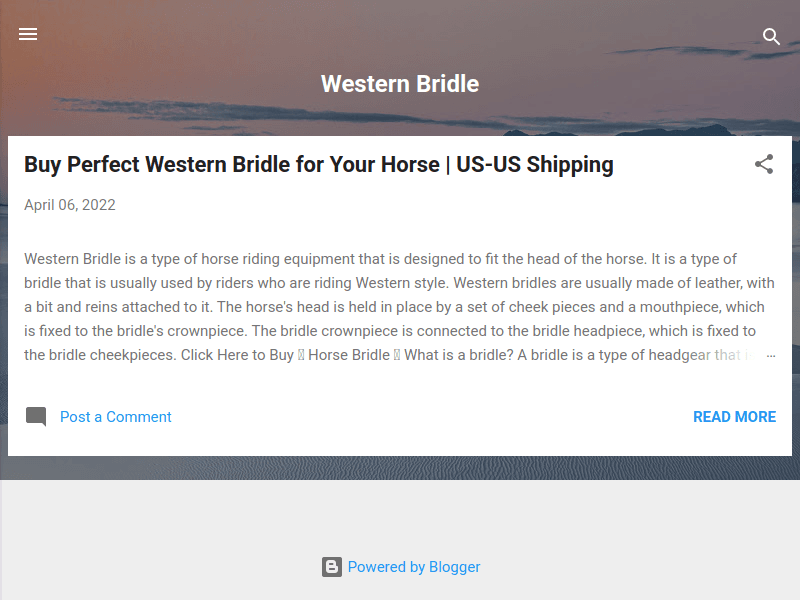 Western-bridles