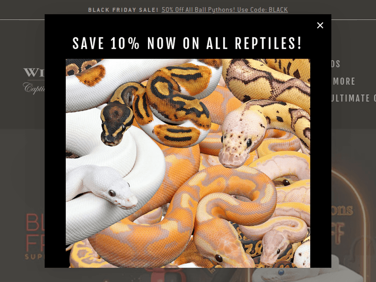Wilbanksreptiles