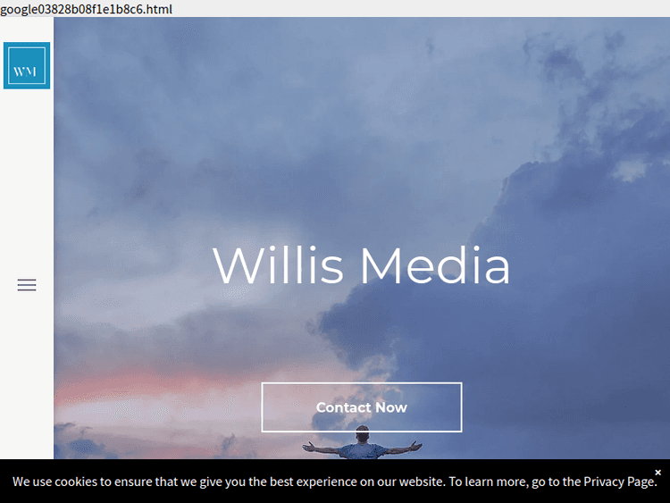 Willismedia