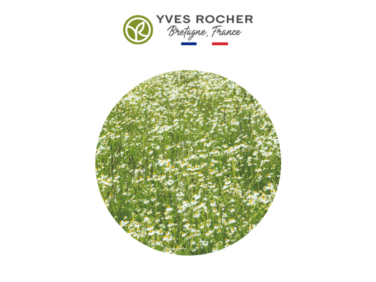 Yves-rocher