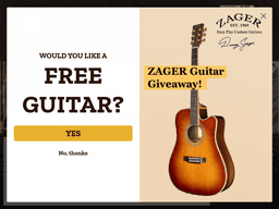 Zagerguitar