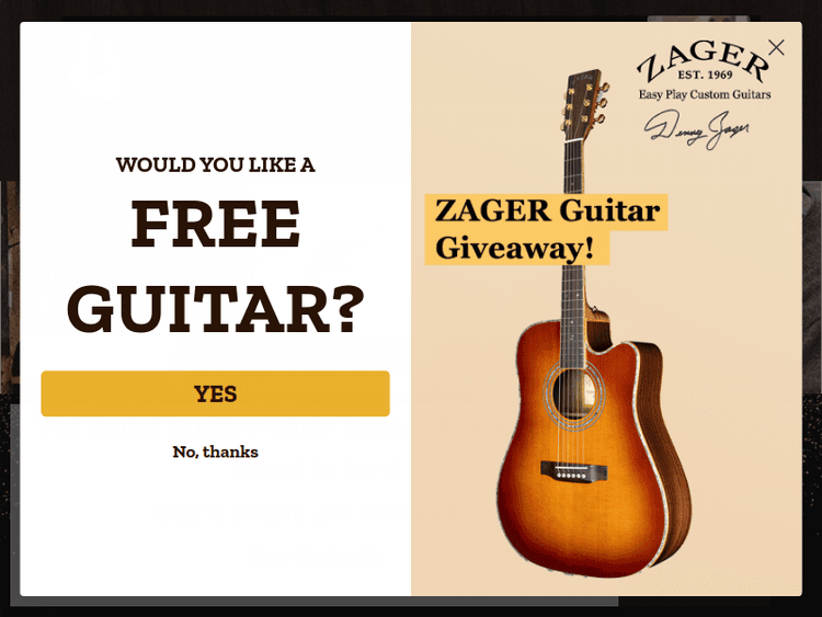 Zagerguitar