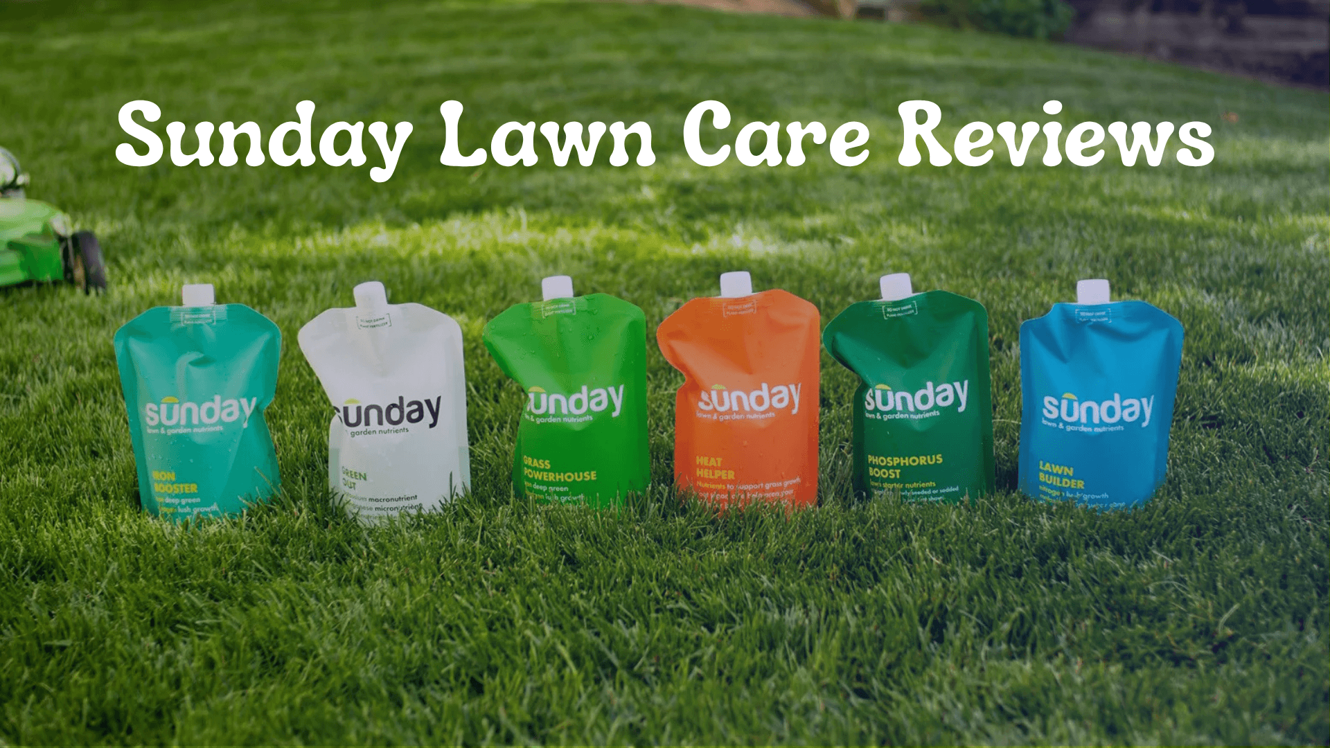Sunday Lawn Care Reviews: Is It the Right Choice for Your Lawn