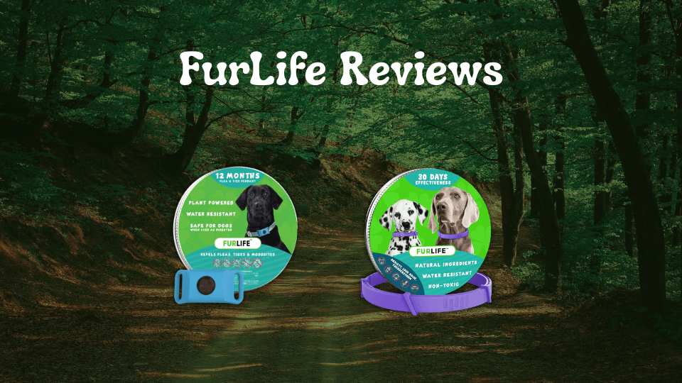FurLife Reviews: Does This Flea & Tick Collar for Dogs Actually Work