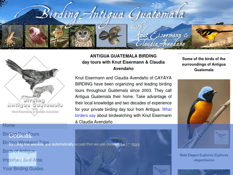 Birding-antigua-guatemala