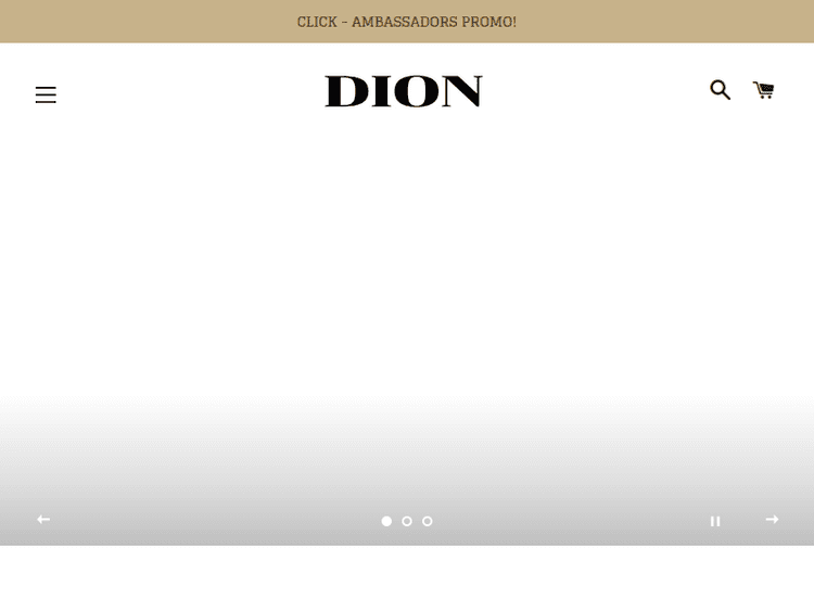 Dionfashion