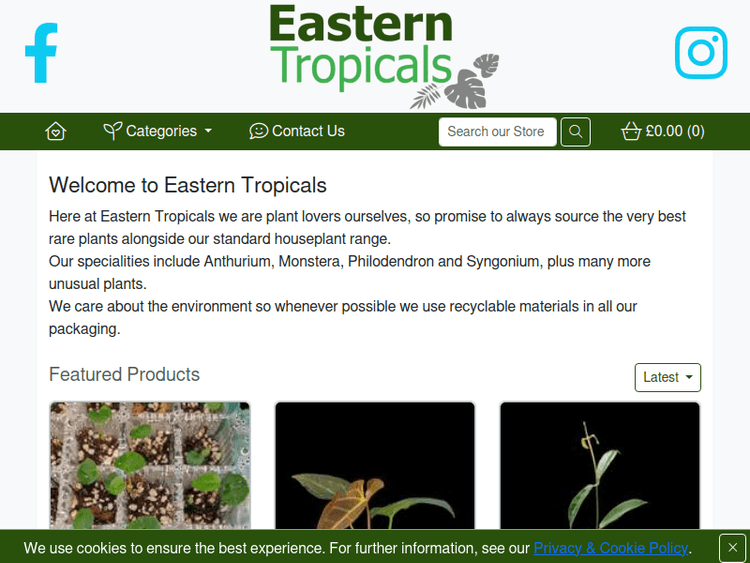 Easterntropicals