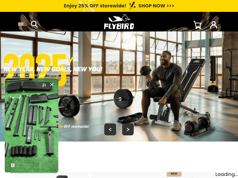 Flybirdfitness