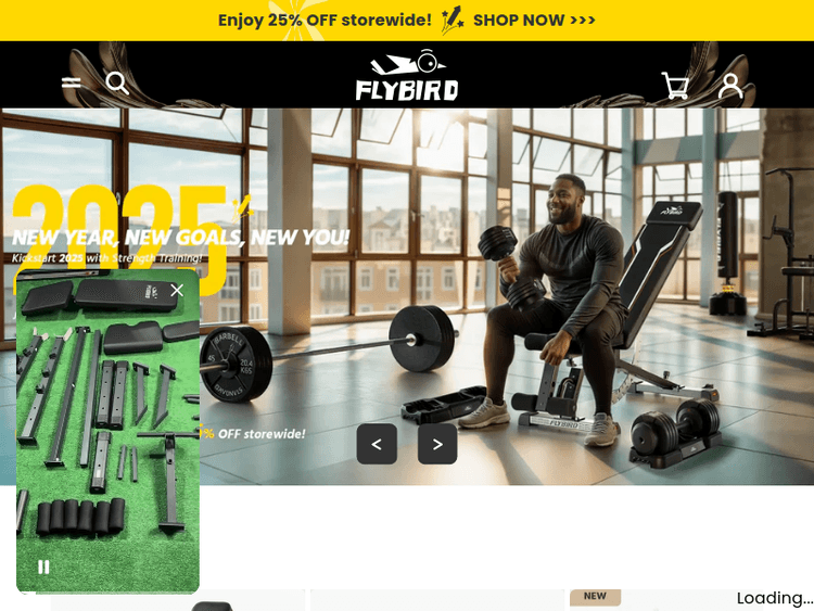 Flybirdfitness
