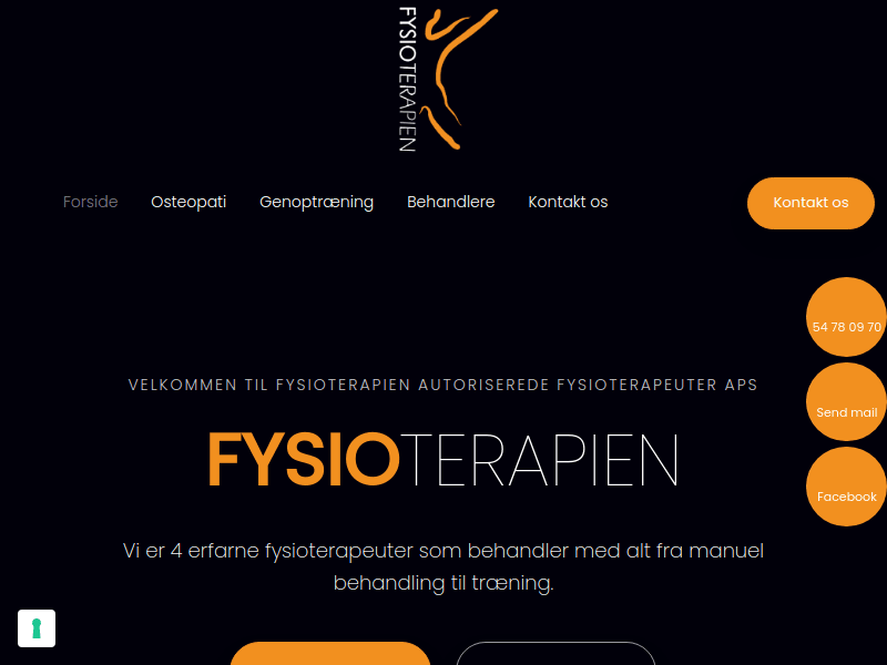 Fysioterapien