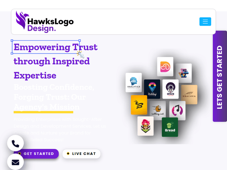 Hawkslogodesign