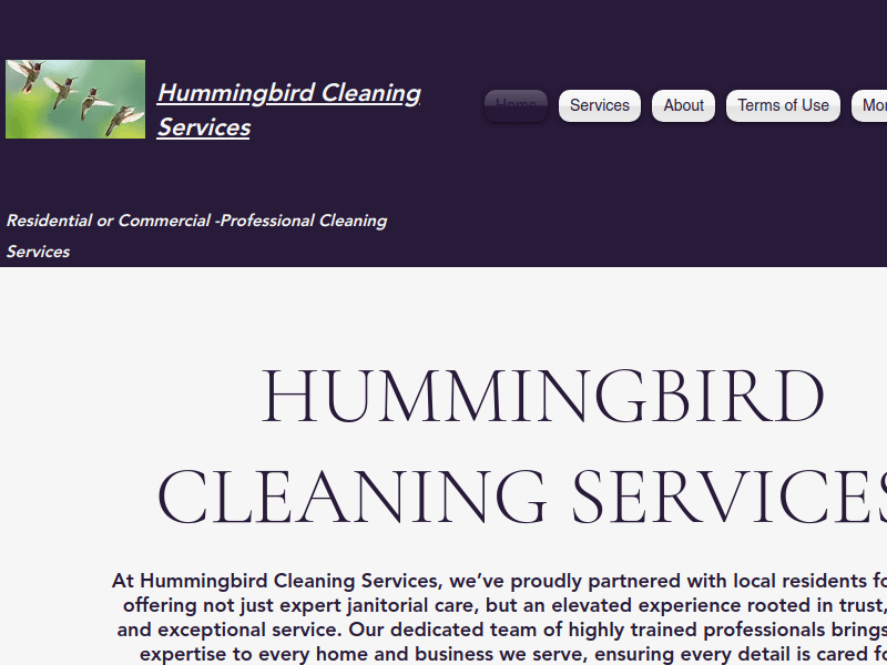 Hummingbirdcleaningservices