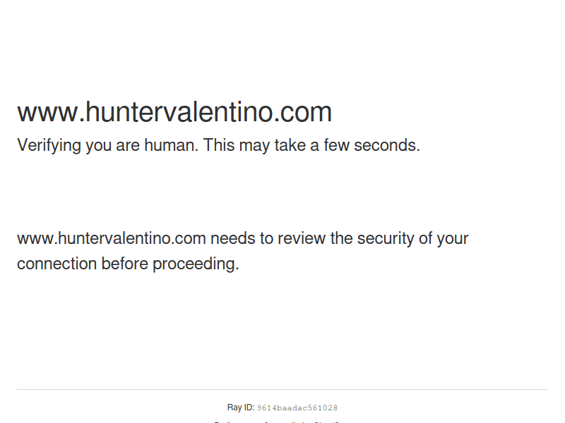 Huntervalentinoflix