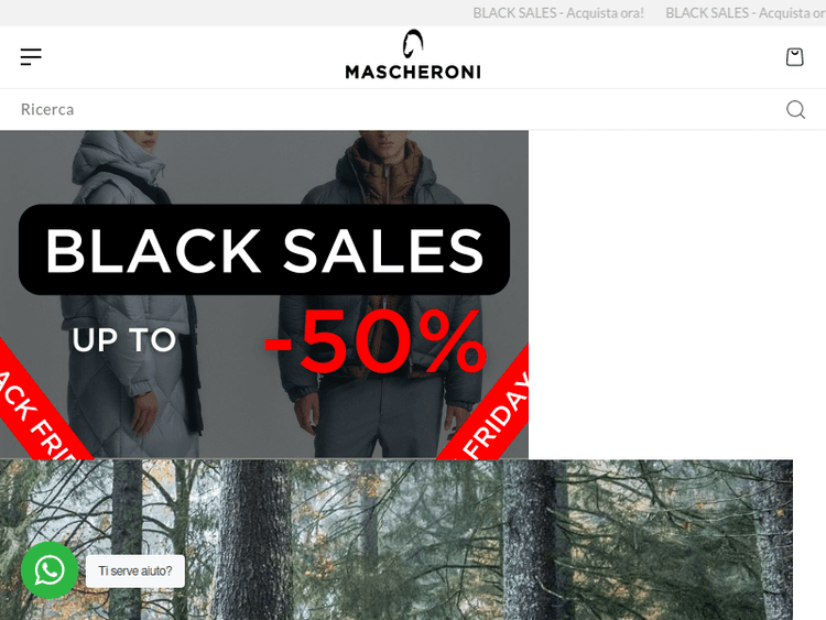 Mascheronistore
