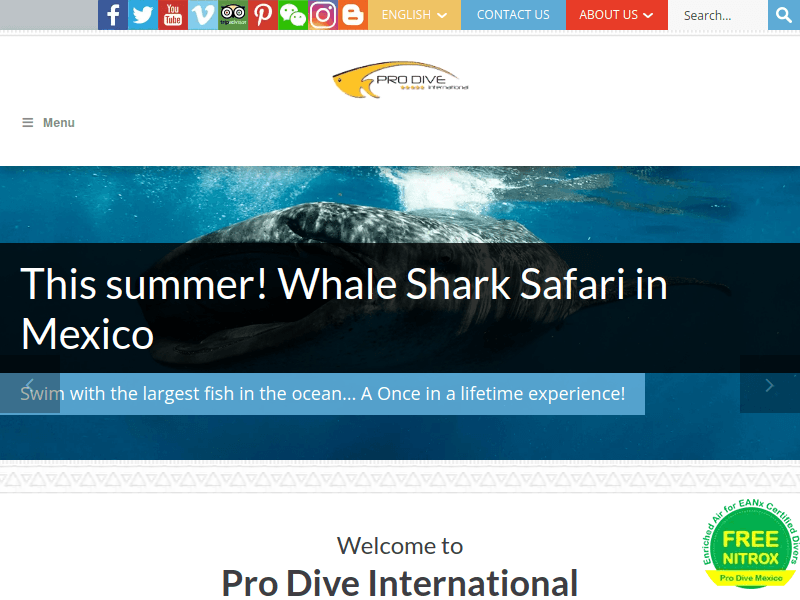 Prodiveinternational