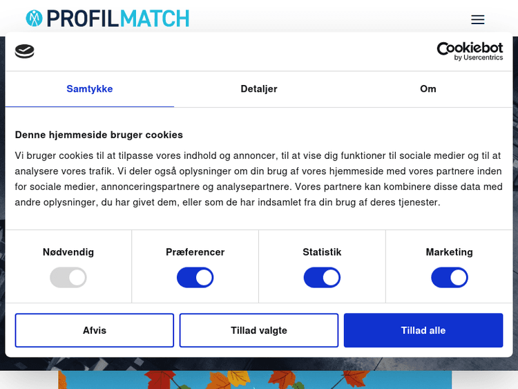 Profilmatch