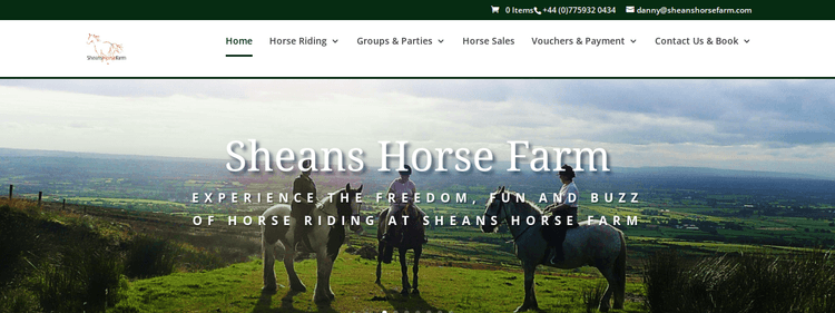 Sheanshorsefarm