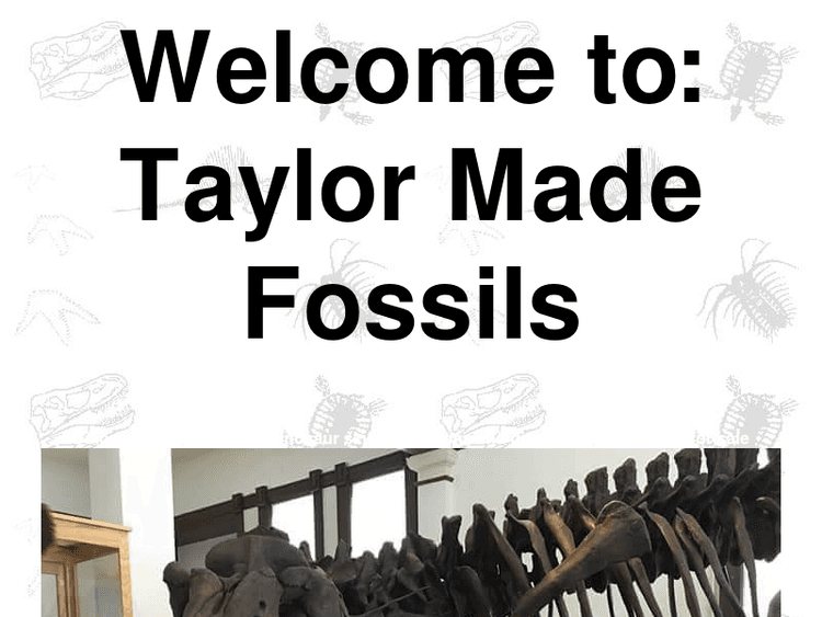 Taylormadefossils