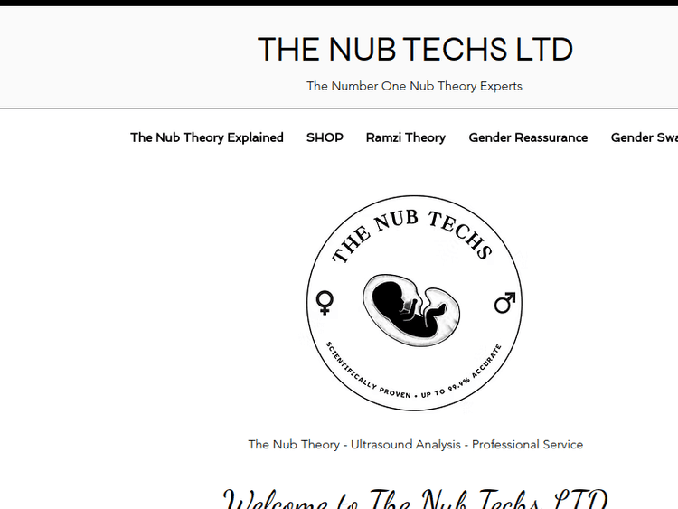Thenubtechs