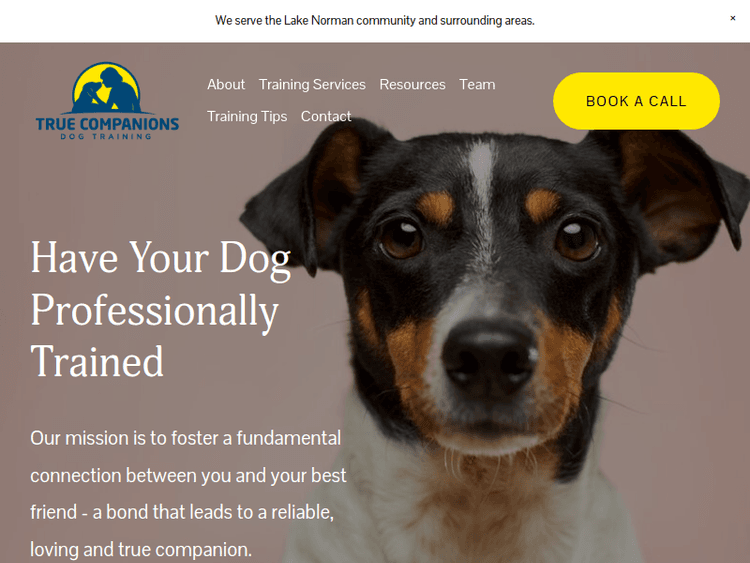 Truecompanionsdogtraining