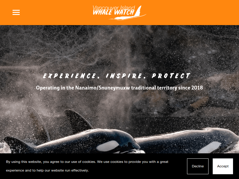 Vancouverislandwhalewatch