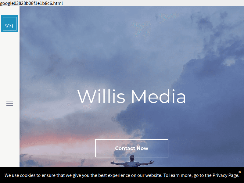 Willismedia